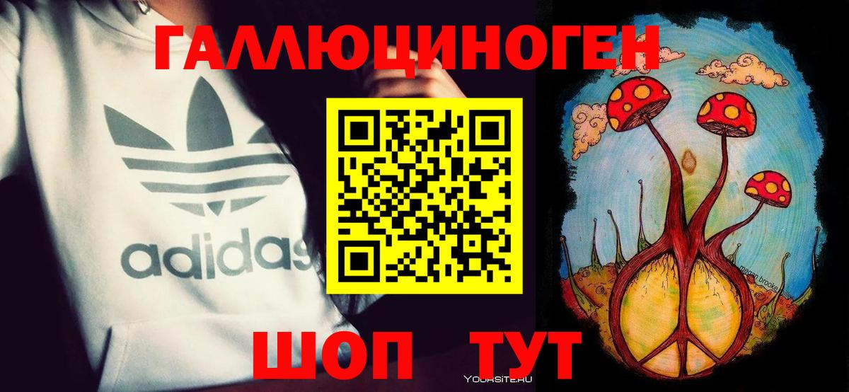 Псилоцибиновые грибы Cubensis Дзержинский
